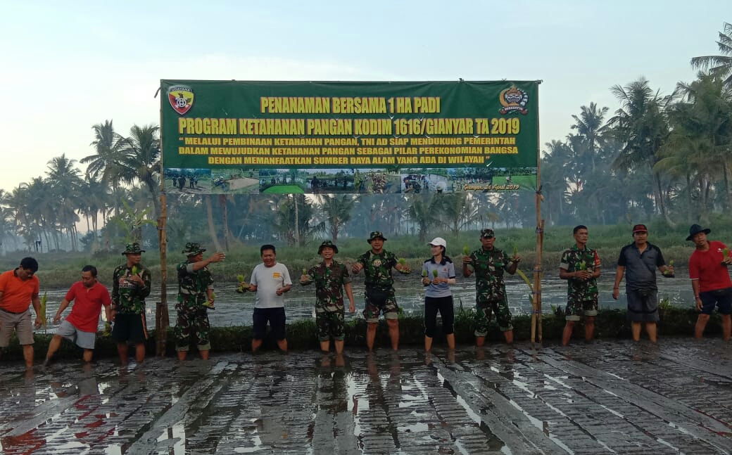 Sinergi Distan Bersama Kodim Gianyar Wujudkan Swasembada Pangan