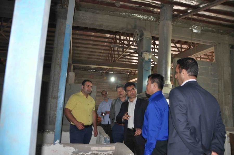 Bilateral Indonesia-Iran: Beras Hitam Indonesia Punya Peluang di Iran