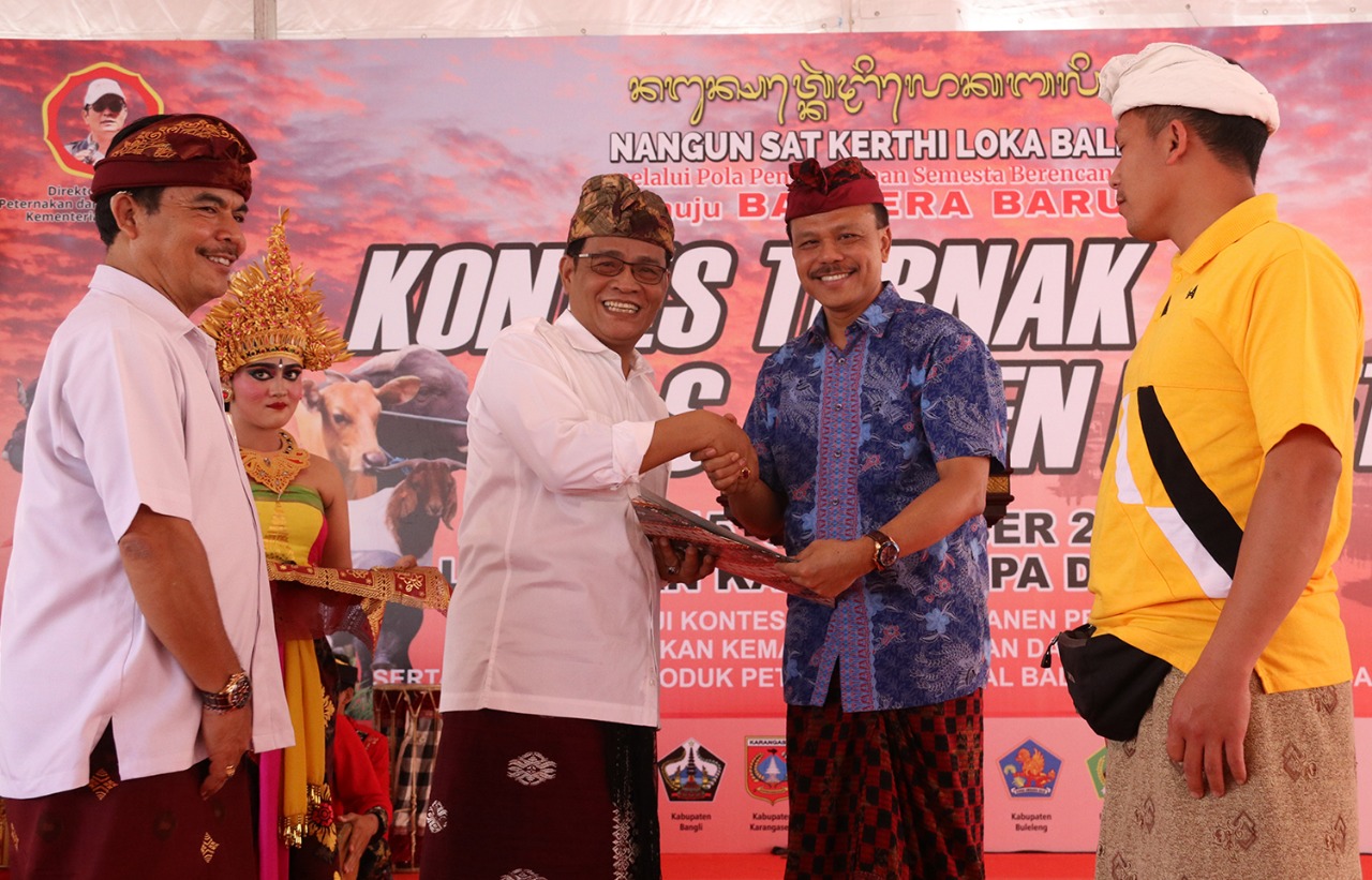 kontes3