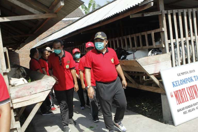 Perluas Lapangan Kerja, Pemkab Jembrana Gelontor 440 Ekor Kambing