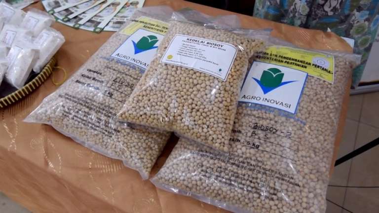 Biosoy, Kedelai Rakitan Balitbangtan yang Siap Membumi