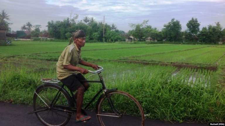 Yogyakarta: Miskin, Tapi Bahagia dan Panjang Usia