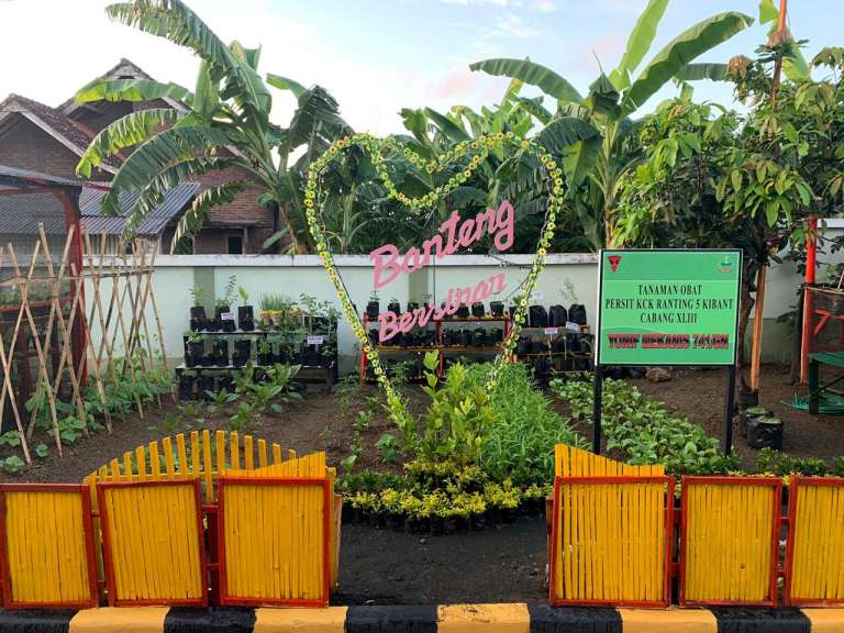 Personil Yonif Mekanis 741/GN Manfaatkan Lahan Untuk TOGA