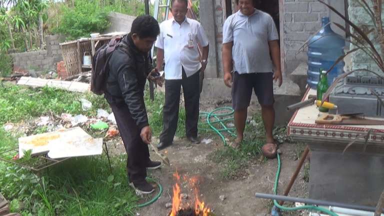 Ulat Bulu Serang Tanaman dan Rumah Warga 