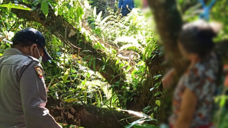 Menghilang Sehari, Dadong Pondok Ditemukan Tewas Gantung Diri