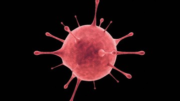 ilustrasi-virus-covid-19-photo-created-by-wirestock-via-freepik_169