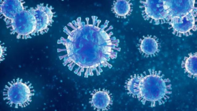 079981800_1578540401-virus