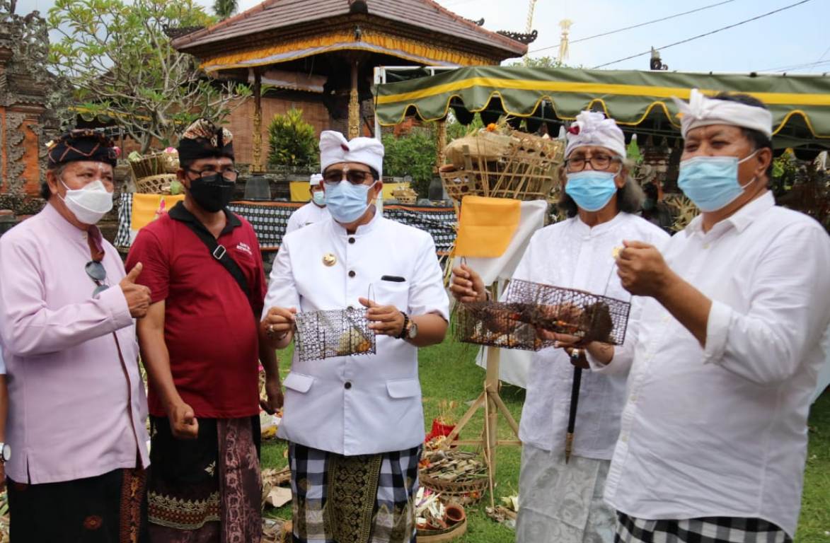 Ngaben Bikul