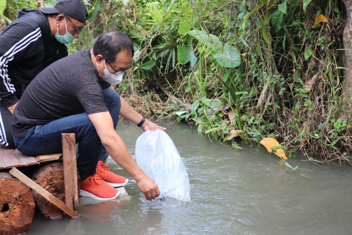 Wabup Lepas Ikan (11)