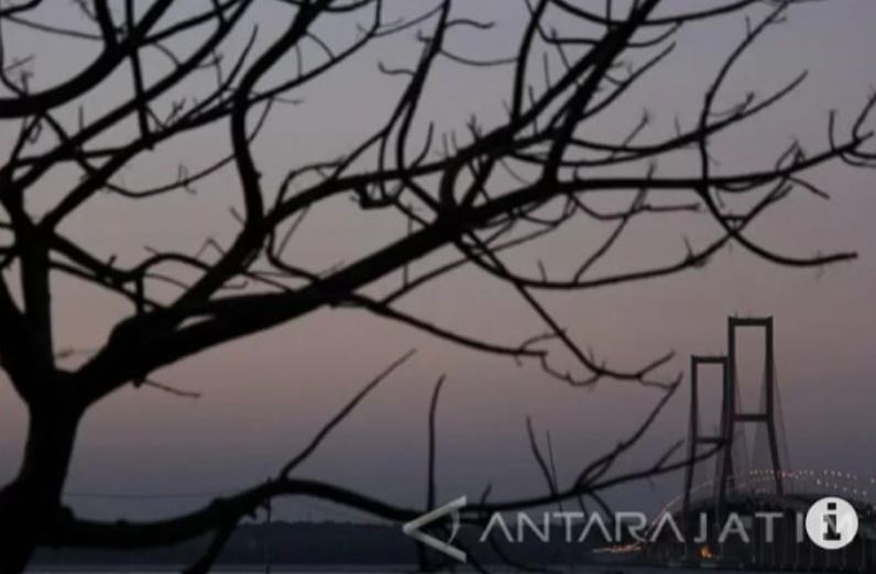 Capture