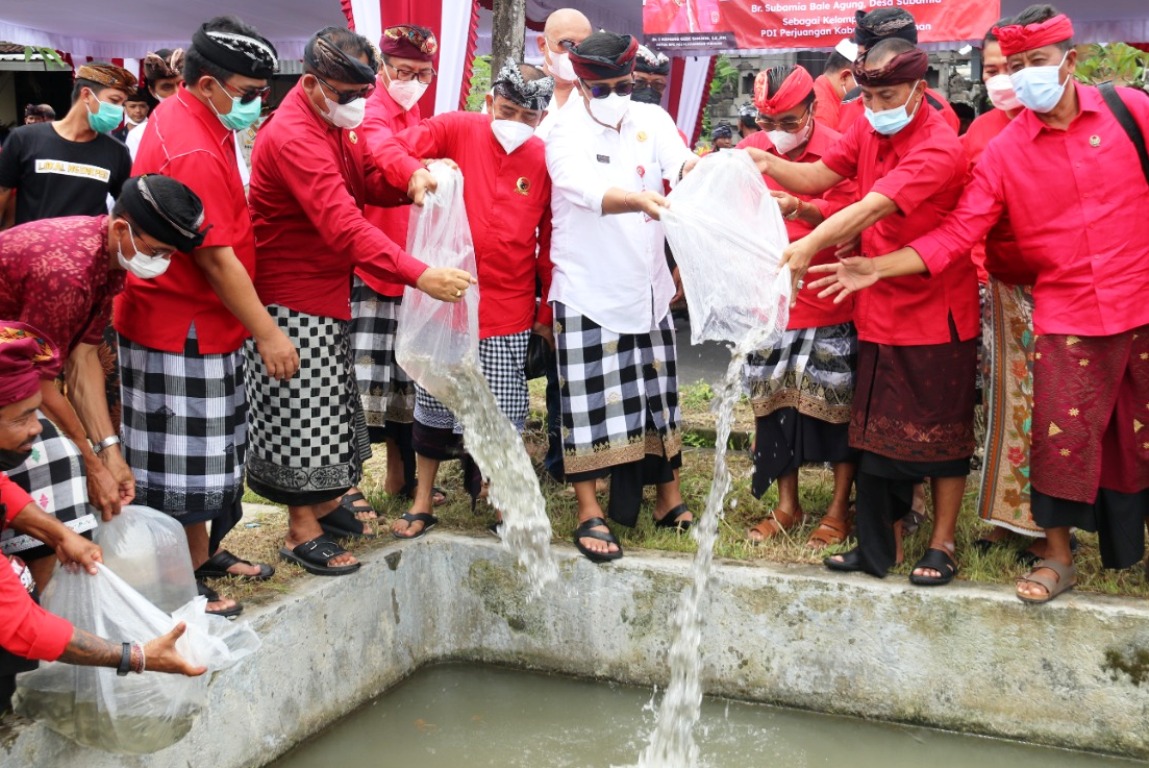 2000 bibit ikan 1