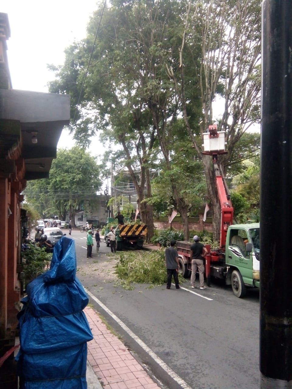 IMG-20220327-WA0005