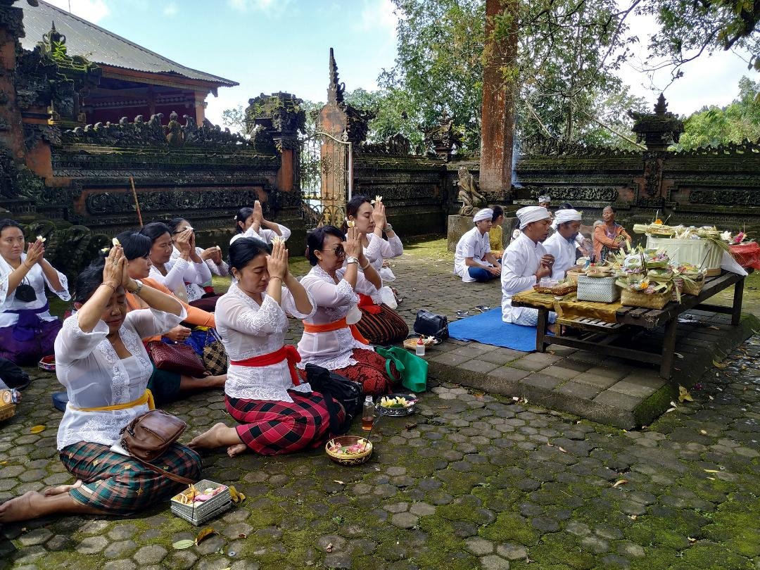 WhatsApp Image 2022-03-14 at 22.00.24