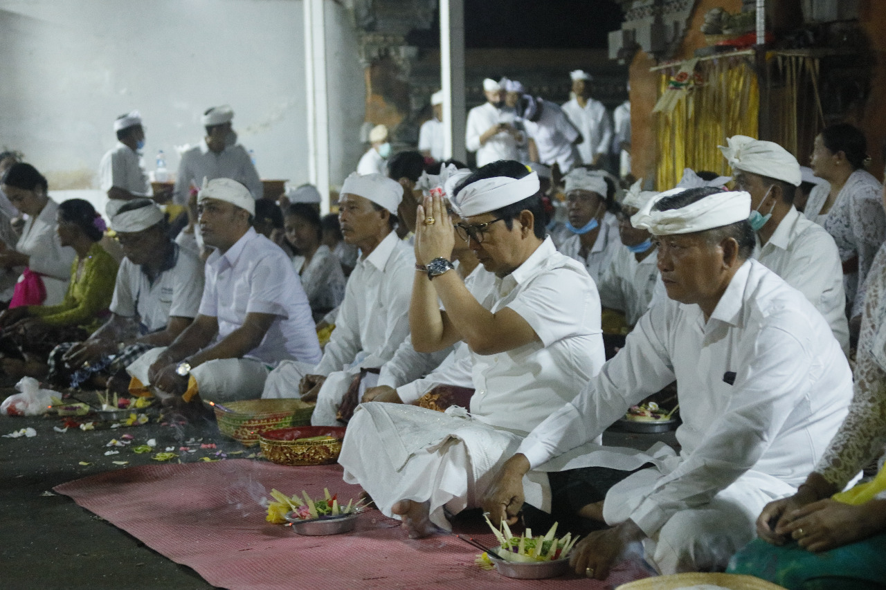 Pura Mas Murub (4)