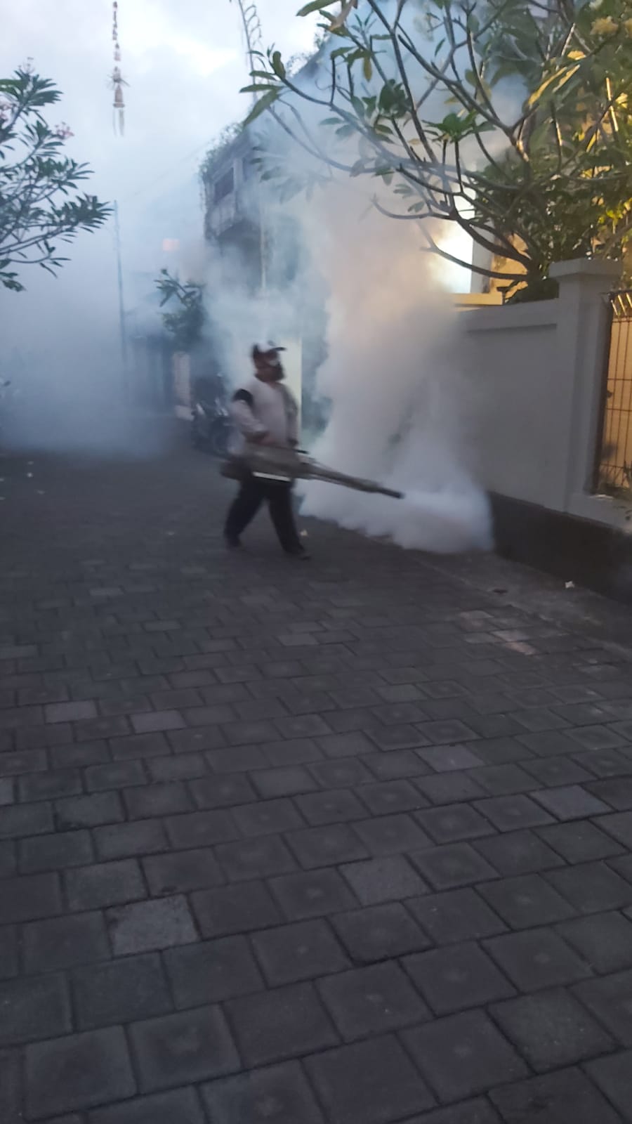 WhatsApp Image 2022-06-23 at 15.01.45