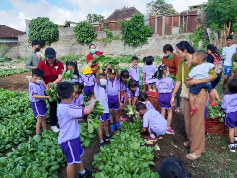 34 Orang Anak TK Swastika Belajar Edukasi Pertanian  di PKT Ketahanan Pangan Nabati dan Hewani Desa Dauh Puri Kaja 