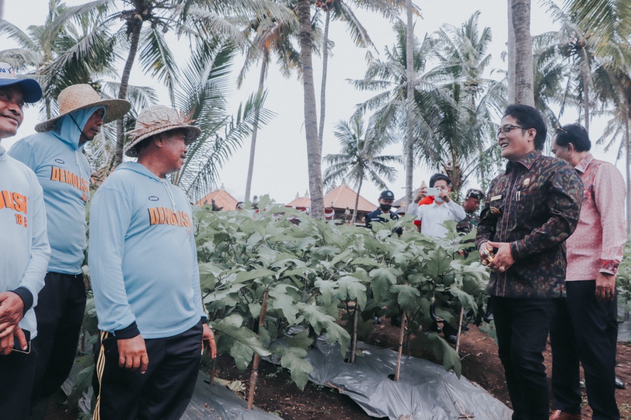 Panen Raya (10)