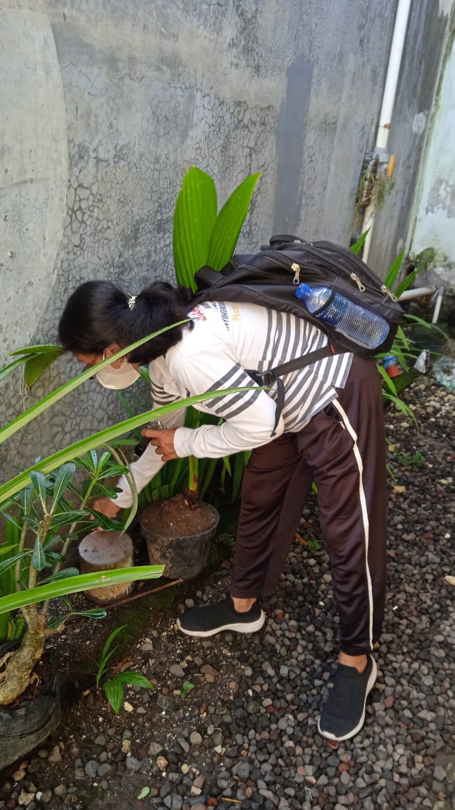 IMG-20230121-WA0016 (1)