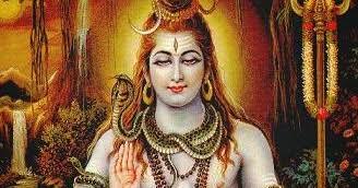 WhatsApp Image 2023-01-19 at 17.43.40
