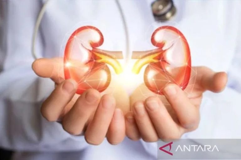 Minum air putih yang cukup dan batasi GGL cegah penyakit ginjal kronik