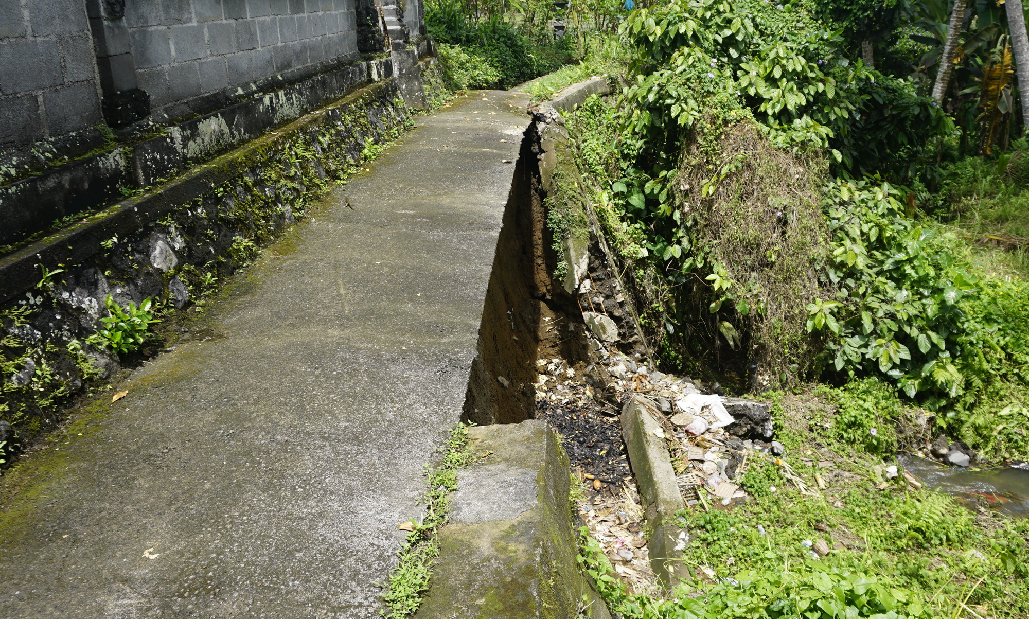 4_DSC5106