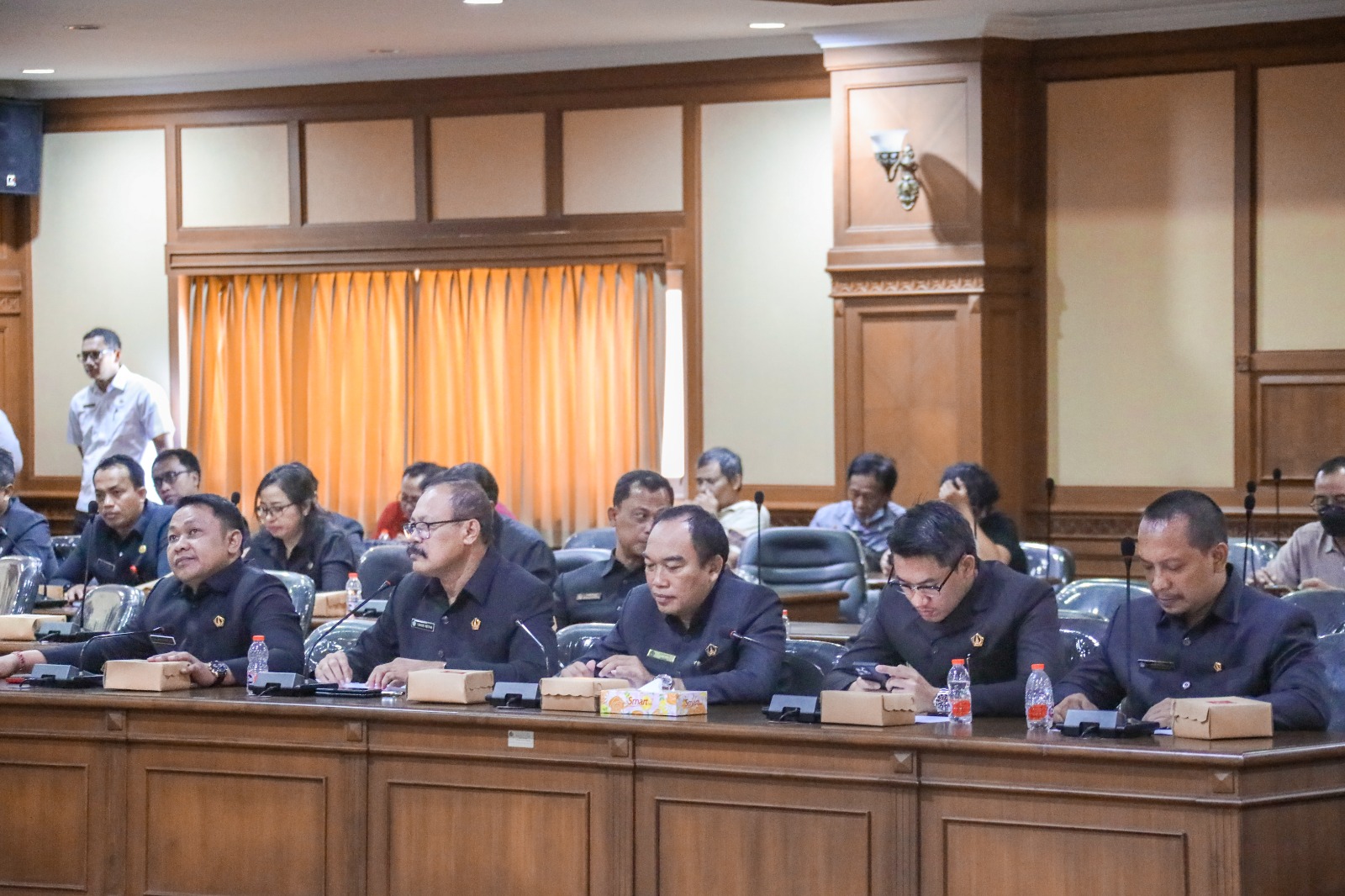 Rapat Kerja Dengan Tim Banggar (4)