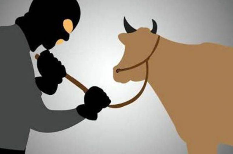 WhatsApp Image 2023-11-06 at 20.10.45