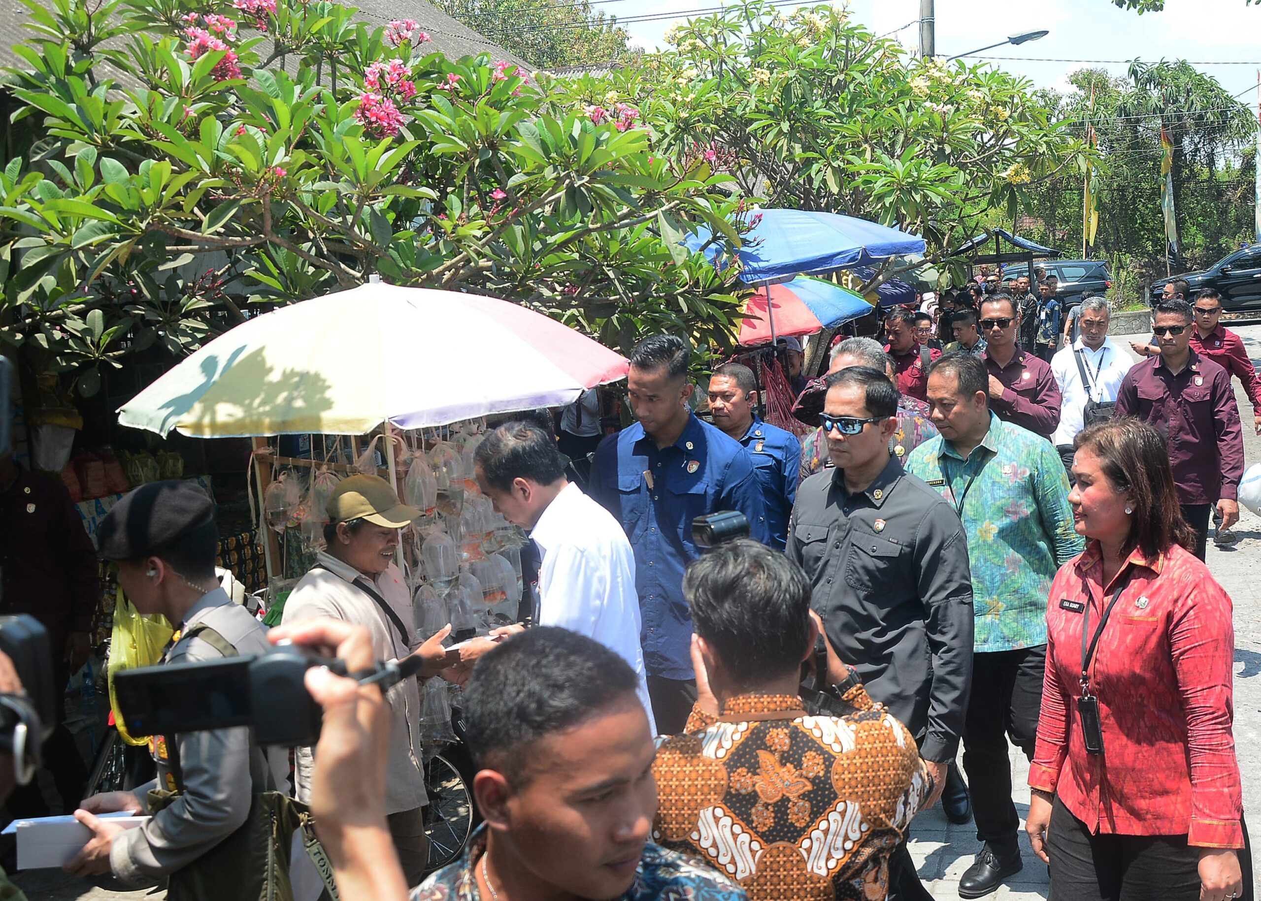 cc1dff43-57e7-4b6d-ba02-e0de48361858