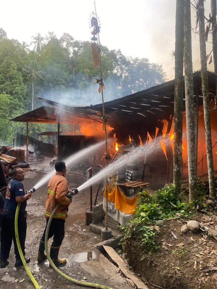WhatsApp Image 2024-10-27 at 15.13.39