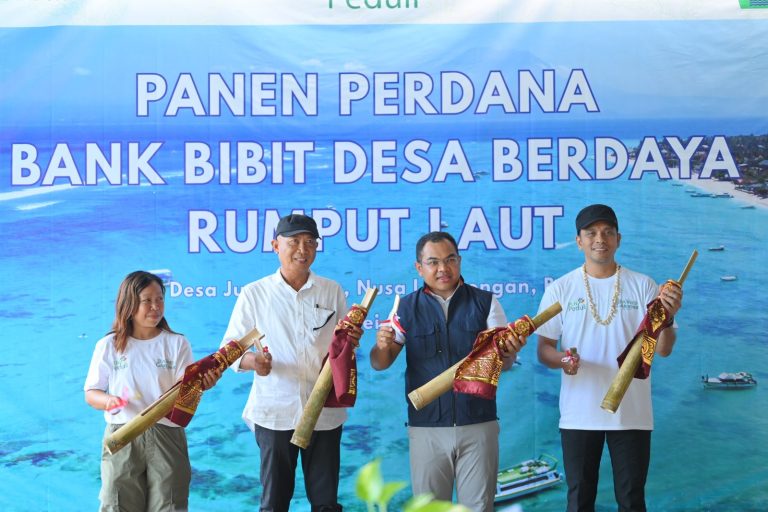 Kolaborasi PLN, Unud, dan Masyarakat Nusa Lembongan Wujudkan Kemandirian Ekonomi Melalui Panen Perdana Rumput Laut