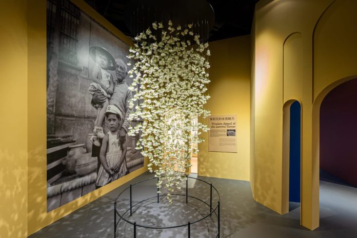 WhatsApp Image 2025-07-29 at 15.35.46_c8dd0d4c