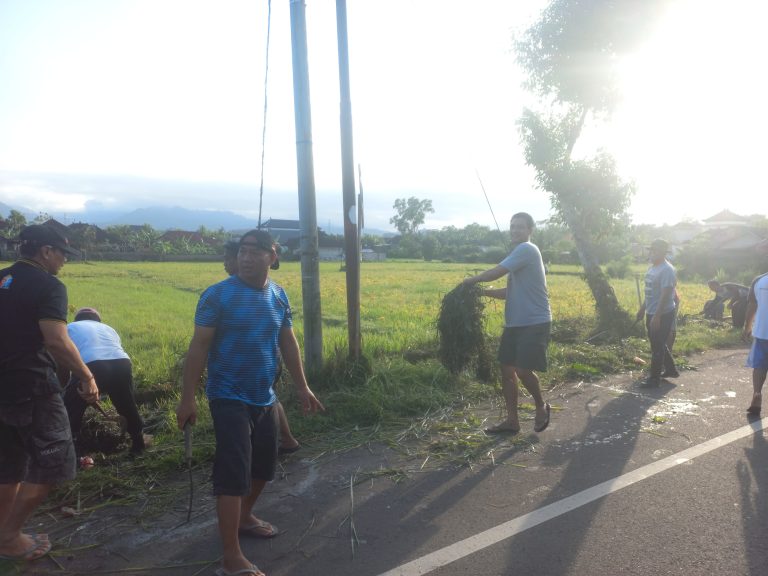 Jembrana Intensifkan Gotong Royong Pasca Banjir, Perkuat Sinergi Pemerintah dengan Masyarakat