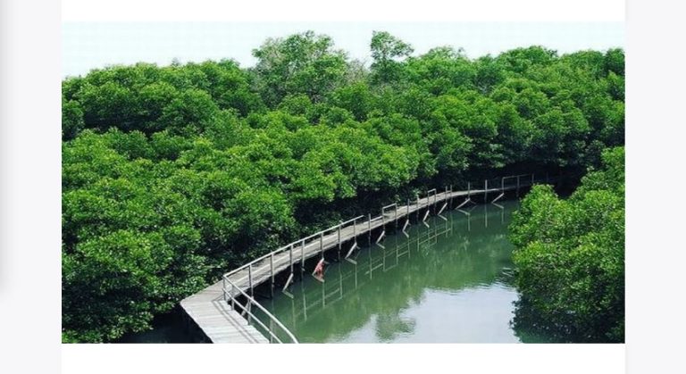 Taman Hutan Raya Ngurah Rai Seluas 1,375,5 Ha Terancam, Momentum Koreksi Kebijakan dan Cara Kepemimpinan