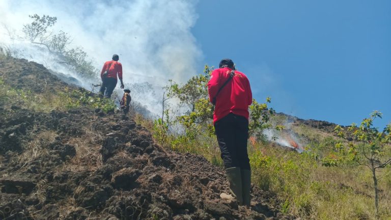 Diduga Akibat Puntung Rokok, 10 Hektar Lahan di Gunung Batur Hangus Terbakar