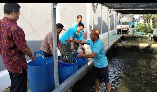 Wujud Pembinaan Kemandirian WBP, Rutan Negara Panen Lele