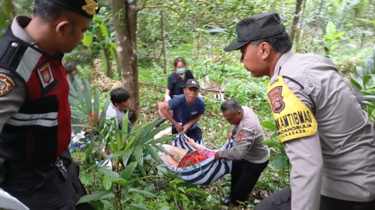 Tragis Laka Lantas Maut Telan Korban Jiwa Lima WNA China Di Jalan Raya Desa Padang Bulia Jalur Singaraja – Denpasar
