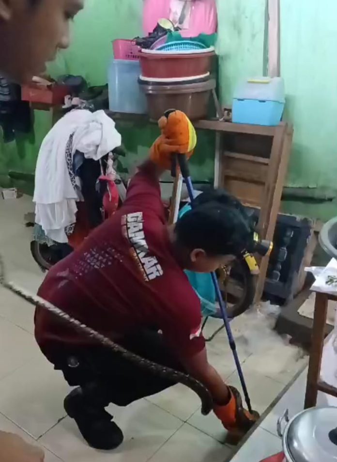 WhatsApp Image 2025-11-14 at 20.07.29 (1)