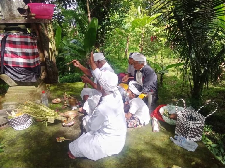 Refleksi Raina Purnama Kenem, Petaka Sumatra, Keserakahan yang Menghancurkan Kecerdasan