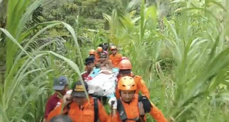 Nenek 80 Tahun di Karangasem Hilang Saat Cari Kayu Bakar, Ditemukan Selamat