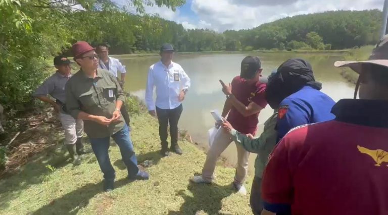 44,4 Hektare Lahan Mangrove Disorot, Kejati Bali Telusuri Legalitas Tanah BTID di Jembrana