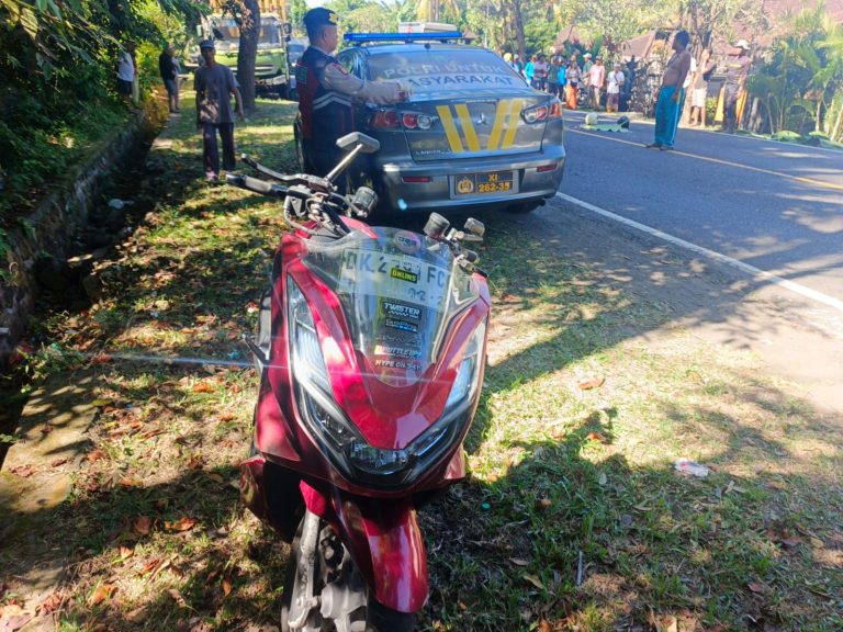 Lakalantas di Jalur Denpasar-Gilimanuk, Penumpang PCX Meninggal Dunia di TKP