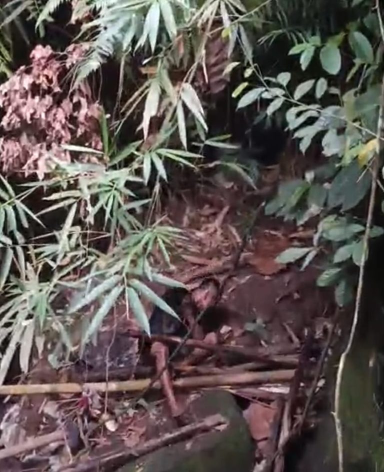 Diduga Depresi, Seorang Pria Jatuh di Sungai Pengosekan Ubud