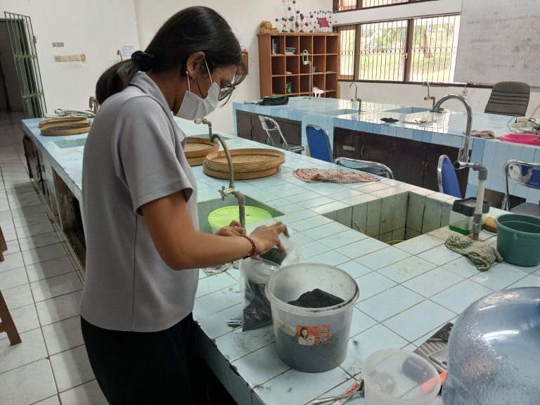 Peneliti Undiksha Hadirkan Inovasi: Nanokomposit Silika-Karbon Berbasis Sekam Padi untuk Material Maju Berkelanjutan