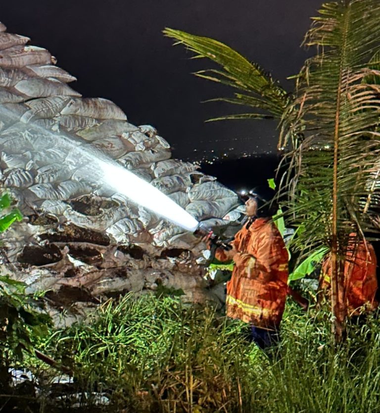 Tumpukan Pupuk Kandang Nyaris Ludes Terbakar