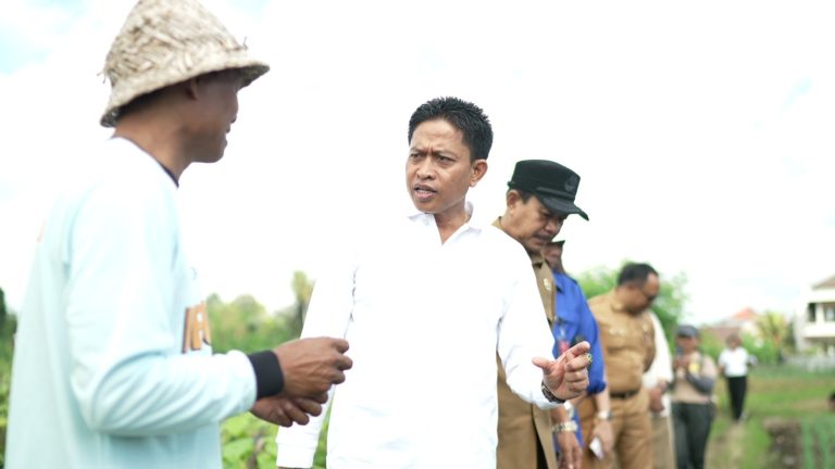 Diperpa Badung Segera Tanam Cabai di Lahan 42 Hektare, Target Produksi 420 Ton