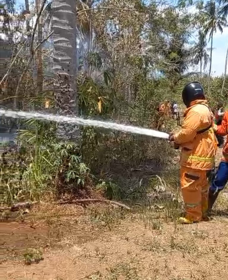Hingga Oktober Sebanyak 77 Kejadian, Didominasi Kebakaran Lahan