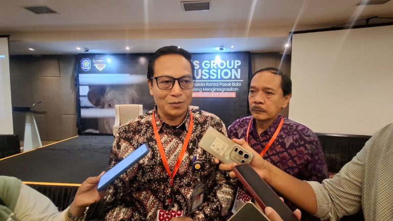 Produksi Babi Bali Capai 433 Ribu Ekor, Pemprov Dorong Standar NKV untuk Pasar Pariwisata